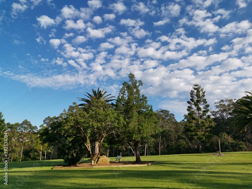 Beautiful view of a park with green grass and tall trees and deep blue sky with light clouds in the background, Heritage park, Castle Hill, Sydney, New South Wales, Australia 