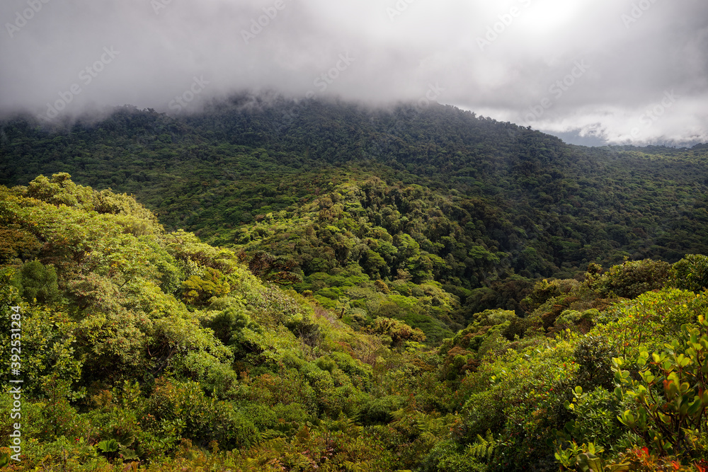 Landscape from Monte Verde in Costa Rica, mountains and green forests, rainforest and bue sky with the clouds. Creek with the waterfall and beautiful bush in the jungle