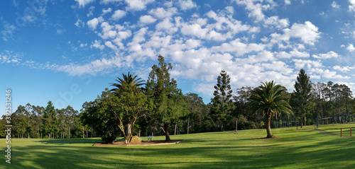Beautiful panoramic view of a park with green grass and tall trees and deep blue sky with light clouds in the background, Heritage park, Castle Hill, Sydney, New South Wales, Australia
