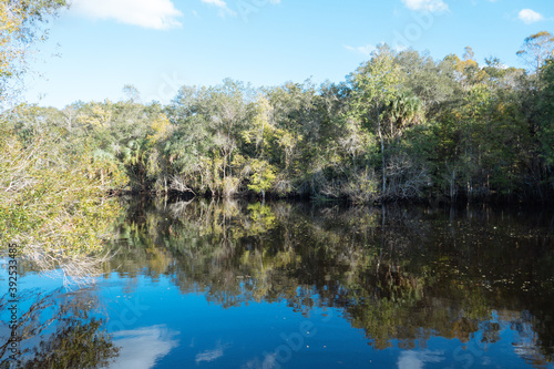 The landscape of New Tampa and Hillsborough river in Florida