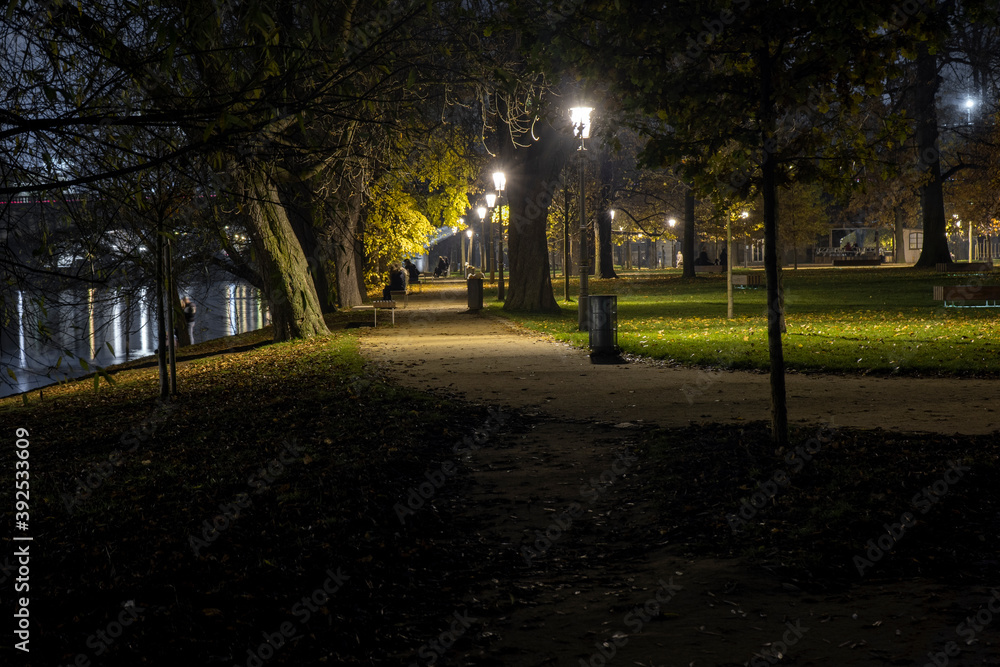 Fototapeta premium park at night