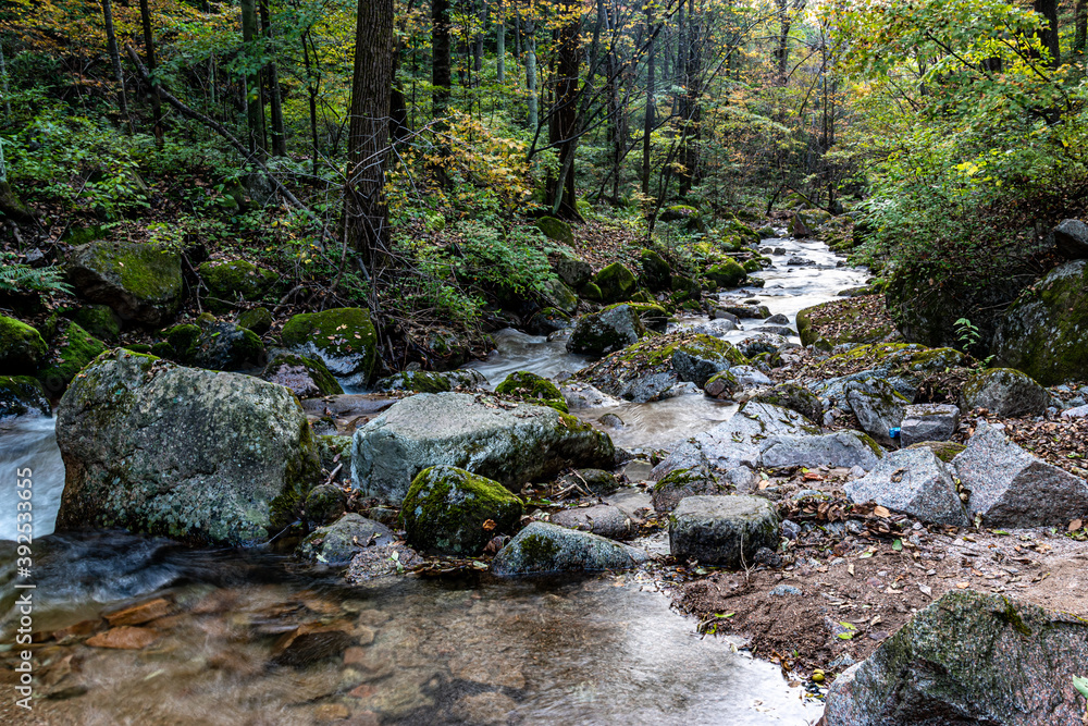 Jilin Jiaohe Red Leaf Valley Stream Landscape in October Jilin Jiaohe Red Leaf Valley Stream Landscape in October