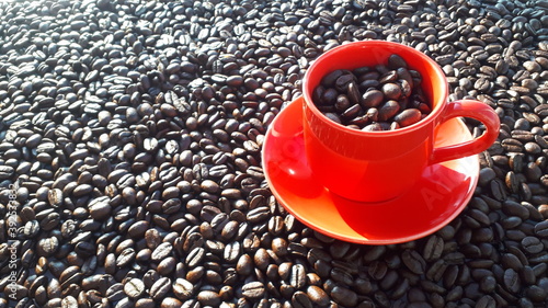 Red Coffee Cup on Coffee Beans