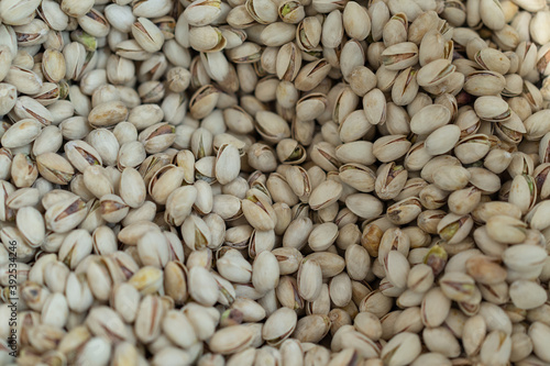 pistachios harvested with shells