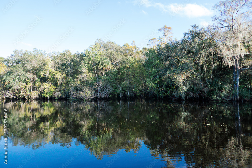 The landscape of New Tampa and Hillsborough river in Florida The landscape of New Tampa and Hillsborough river in Florida