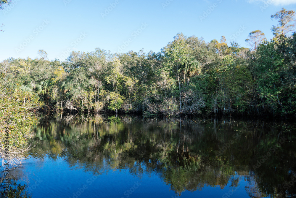 The landscape of New Tampa and Hillsborough river in Florida The landscape of New Tampa and Hillsborough river in Florida