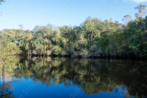 The landscape of New Tampa and Hillsborough river in Florida