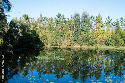 The landscape of New Tampa and Hillsborough river in Florida