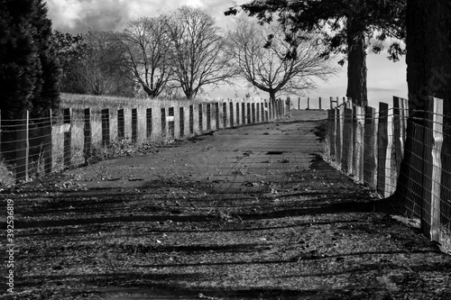 A beautiful British Columbia landscape in black and white