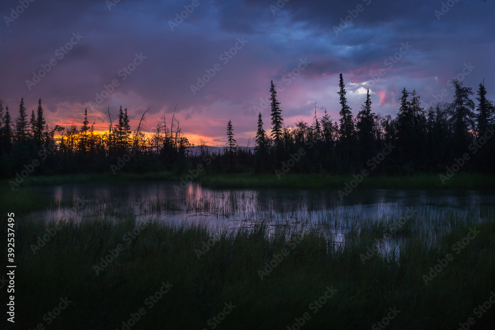 Rainy sunset over taiga forest and tiny lake in Alaskan summer