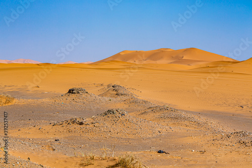 Mergouza, morocco, landscape of the desert