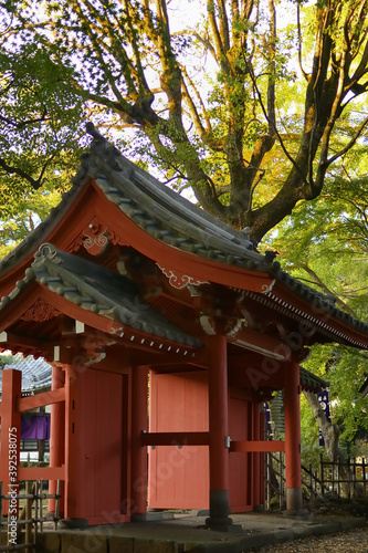 Guhouji Temple © Yoshiki