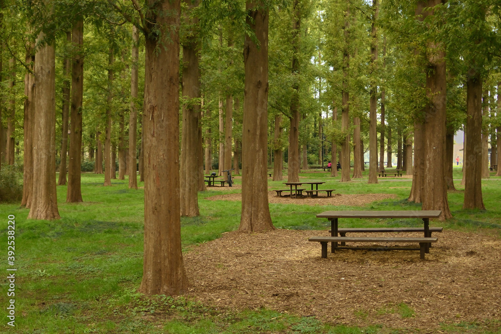 Mizumoto Park Mizumoto Park