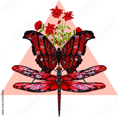 butterfly and dragonfly black red triangle vector illustration