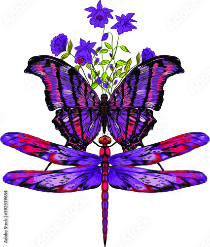 butterfly and dragonfly purple  vector illustration