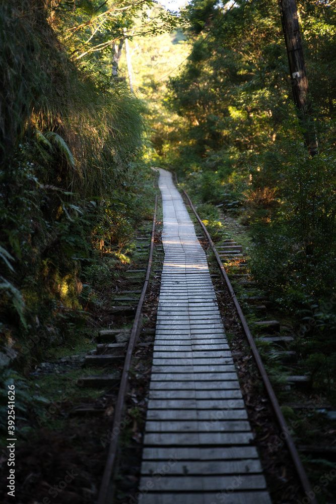 Fototapeta premium 線路