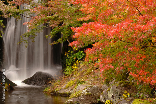 耶馬渓の溪石園の秋風景