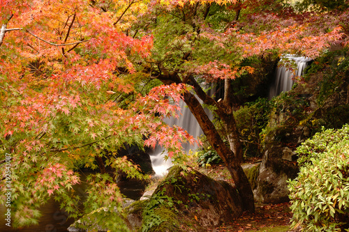 耶馬渓の溪石園の秋風景
