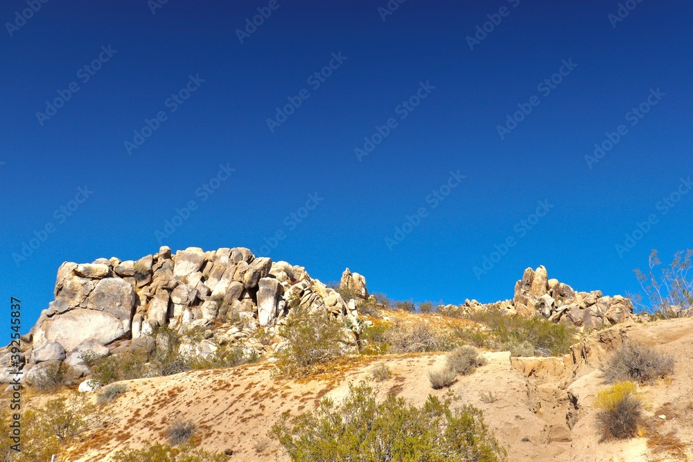 Fototapeta premium Southern California Desert Landscape with Rocks and Mountains 