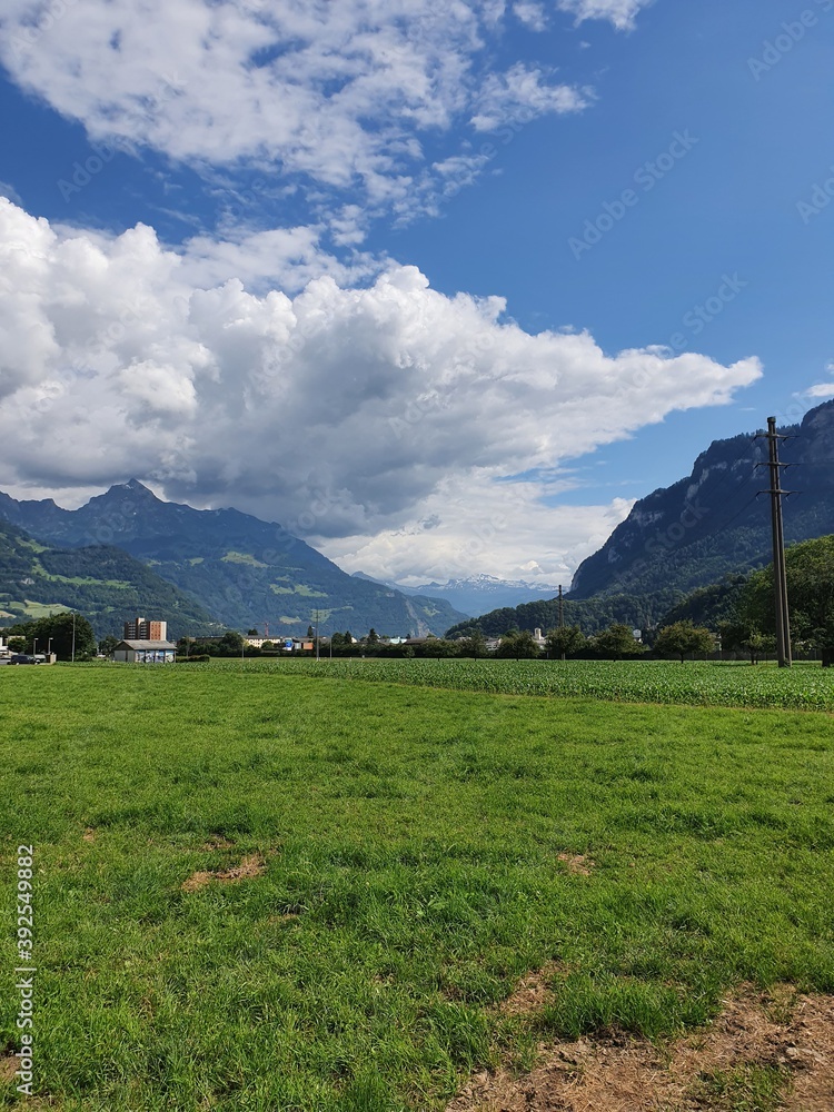 Fototapeta premium landscape with sky