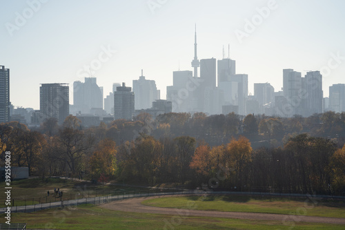 Photography Toronto City Skyline on a sunny day from Riverdale Park in Ontario Canada