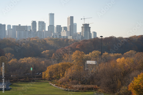 Toronto City Skyline on a sunny day from Riverdale Park in Ontario Canada