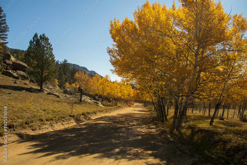 Naklejka premium Fall 2020 in Buena Vista