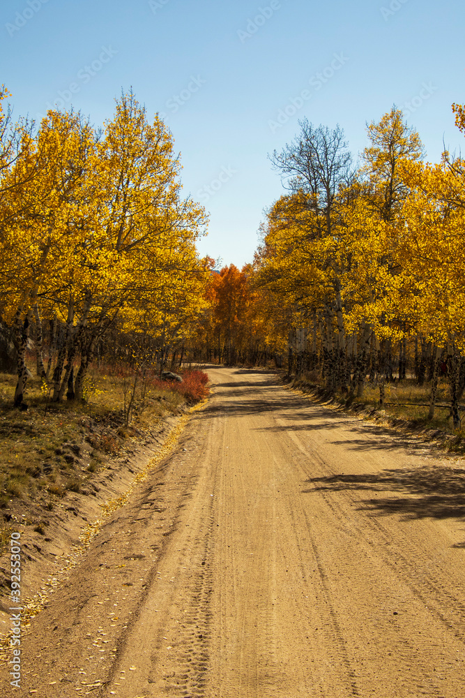 Obraz premium Fall 2020 in Buena Vista