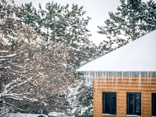 Snow covered cabin in the woods