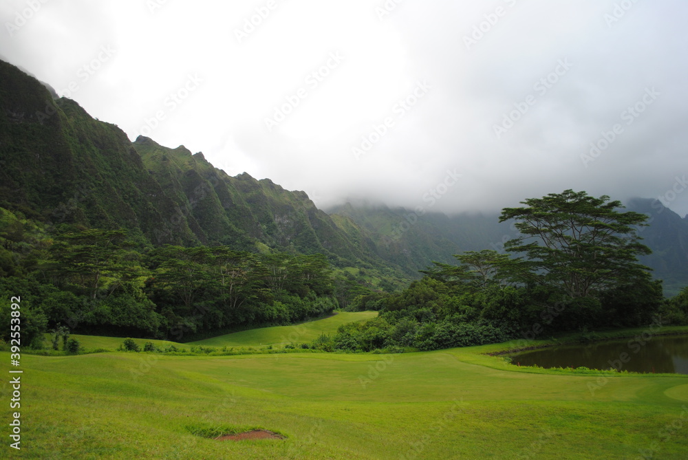 rainforest mountain landscape rainforest mountain landscape
