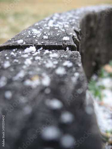 snowflakes on wood