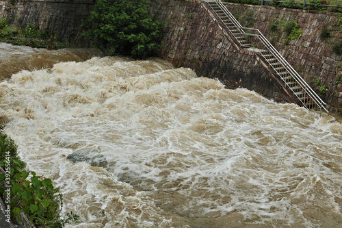 激流の川の写真