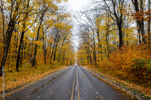 A road through forest with Autumn yellow leaves at Pictured Rock National Lakeshore in Michigan. Fall colors