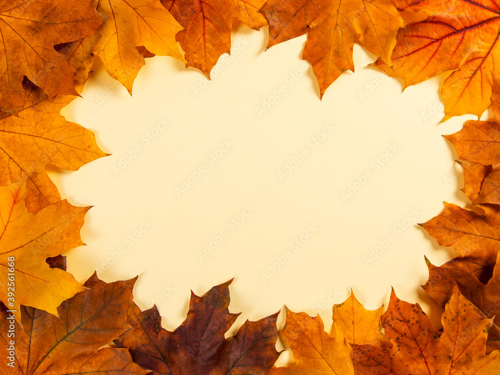 Orange autumn leaves make frame on a yellow background, the concept of autumn template, the preparation for the text, Thanksgiving day. Copy space. Orange autumn leaves make frame on a yellow background, the concept of autumn template, the preparation for the text, Thanksgiving day. Copy space.