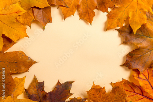 Frame and autumn leaves on a yellow background  mockup for design  place for text  concept of autumn. Copy space.