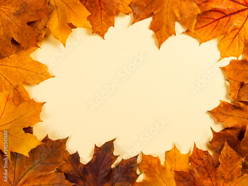 Orange autumn leaves make frame on a yellow background, the concept of autumn template, the preparation for the text, Thanksgiving day. Copy space.
