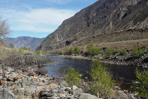 Wallpaper Mural mountain Altai Torontodigital.ca