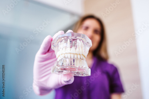 Dentist olding artificial jaw at dental clinic photo