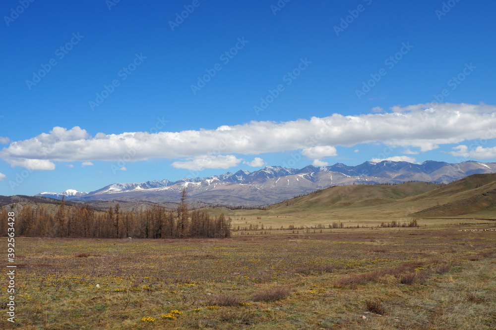 mountain Altai