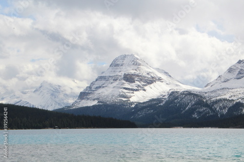 Snowy Peak By Bow Lake, Banff National Park, Alberta