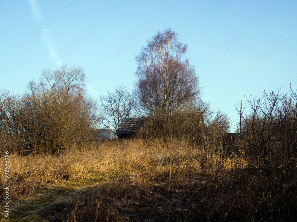 dry grass on the banks of the river in spring dry grass on the banks of the river in spring