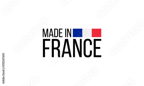 made in france, vector logo with french flag