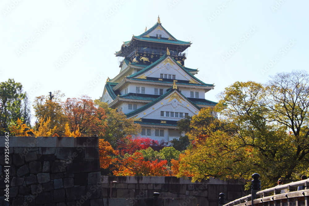 Obraz premium 極楽橋からみた大阪城天守閣（秋・紅葉）