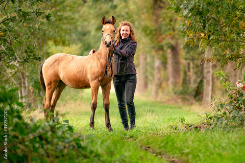 Obraz na płótnie A light brown buckskin foal, the female owner stands next to the stallion Autumn Sun w salonie