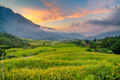 Terraced rice fields in Y ty  Sapa  Laocai  Vietnam prepare the harvest