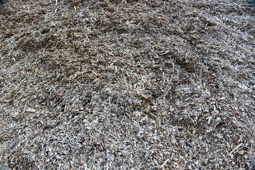 Texture background made of sawdust. Sawdust.