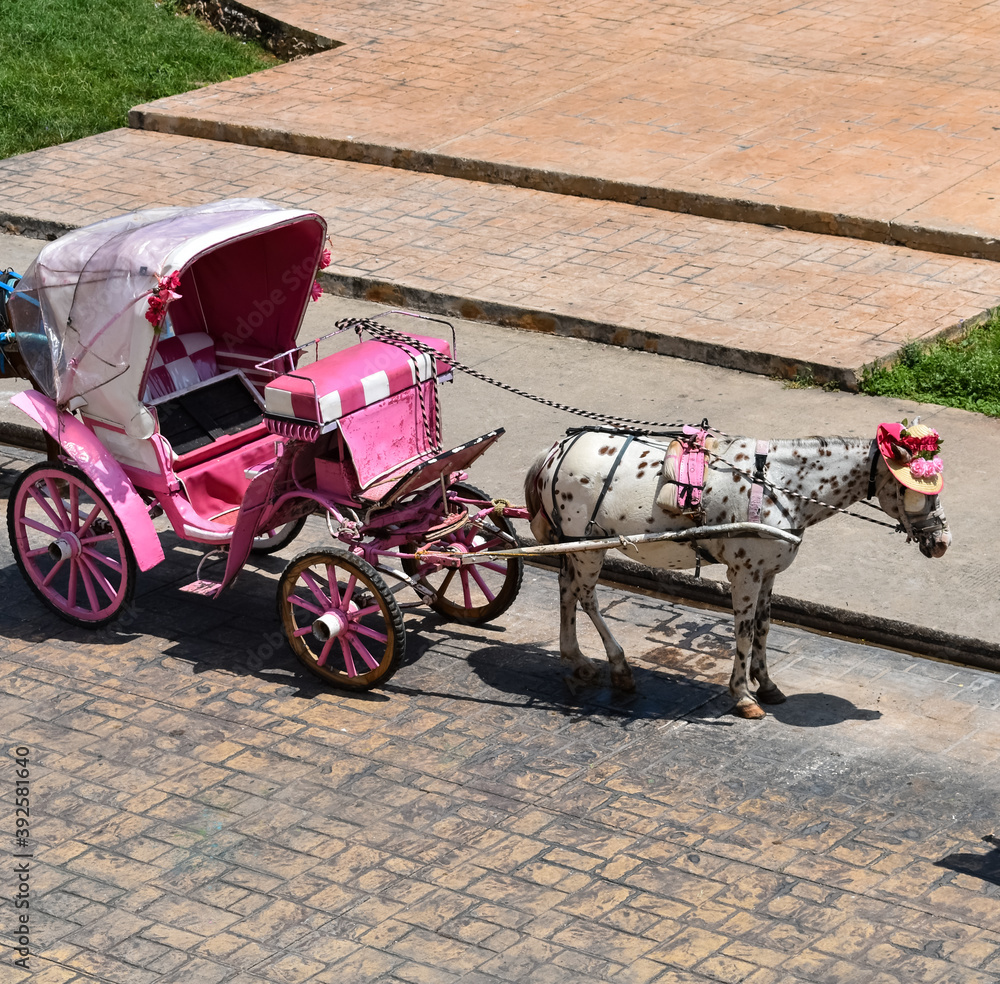 pink horse-drawn carriage with a horse wearing a hat