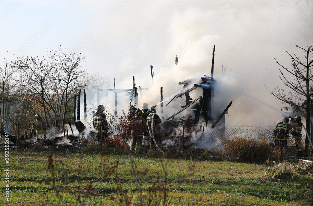 Fototapeta premium Firefighters extinguish a burning country house.