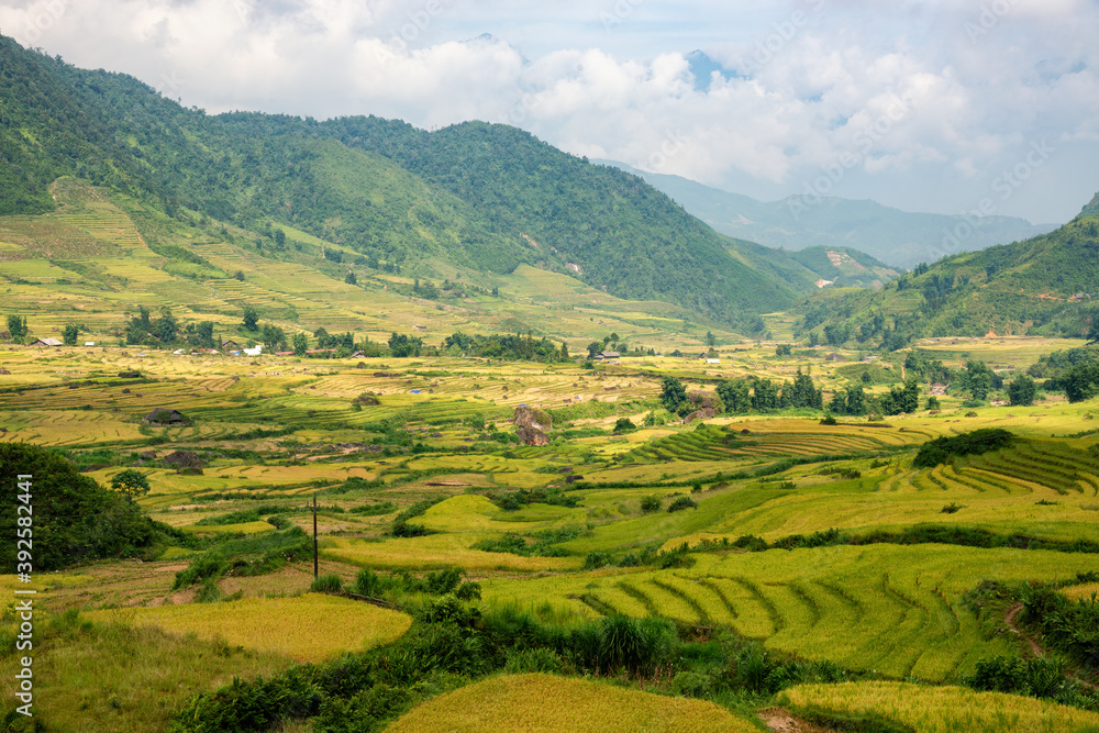 Terraced rice fields in Y ty, Sapa, Laocai, Vietnam prepare the harvest Terraced rice fields in Y ty, Sapa, Laocai, Vietnam prepare the harvest