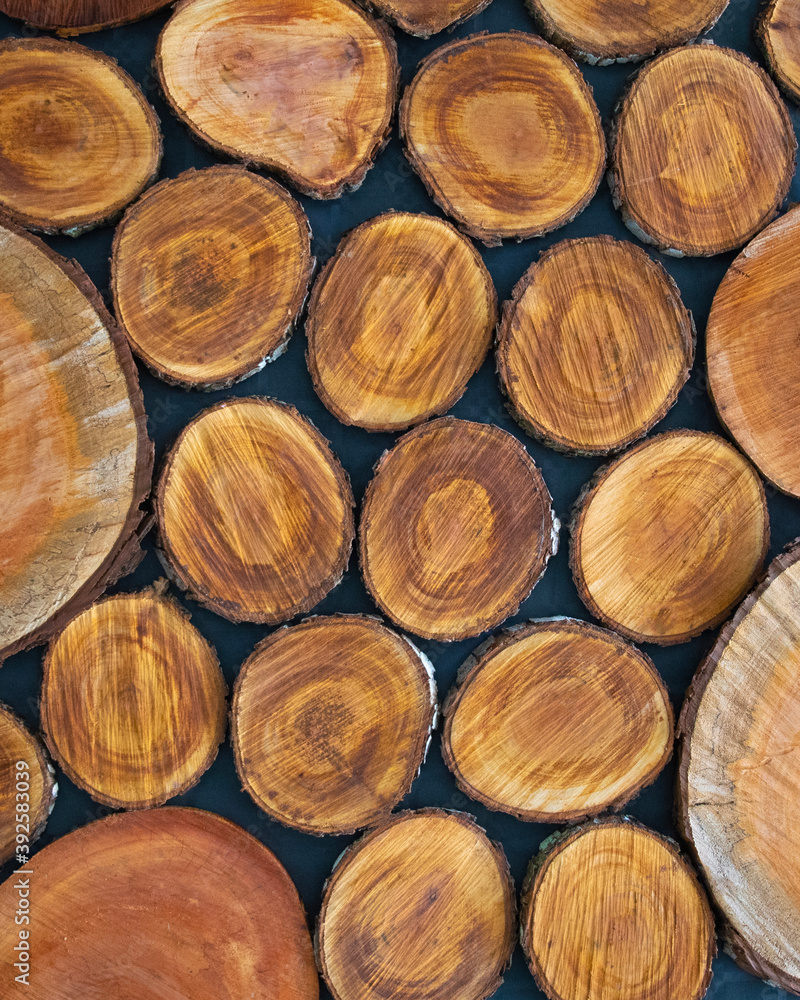 rondin de bois pour illustration rondin de bois pour illustration